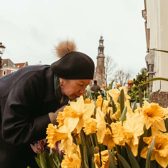 one day in amsterdam