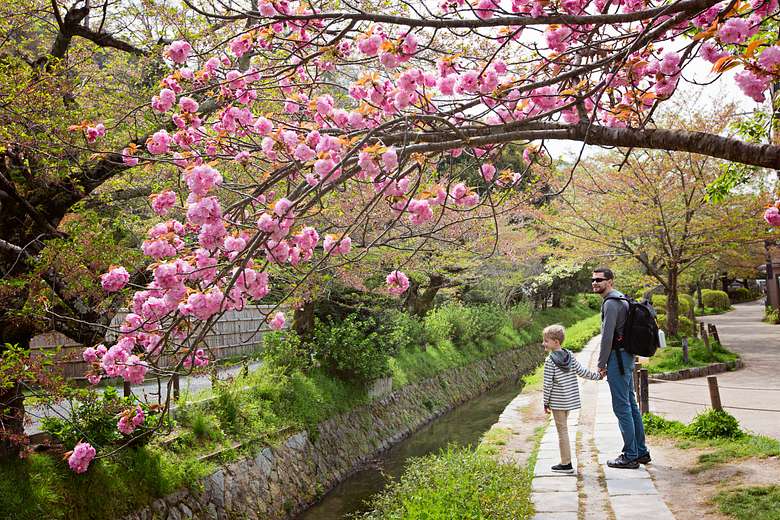 Philosopher's Path Tour: Nature and Buddhism in Kyoto
