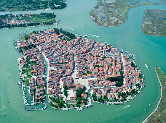VIP Experience: Ecology of Venice Tour by Private Boat