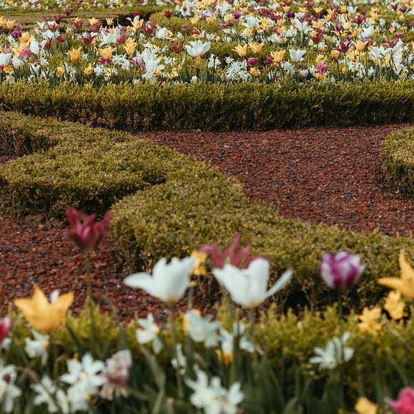 versailles private tour