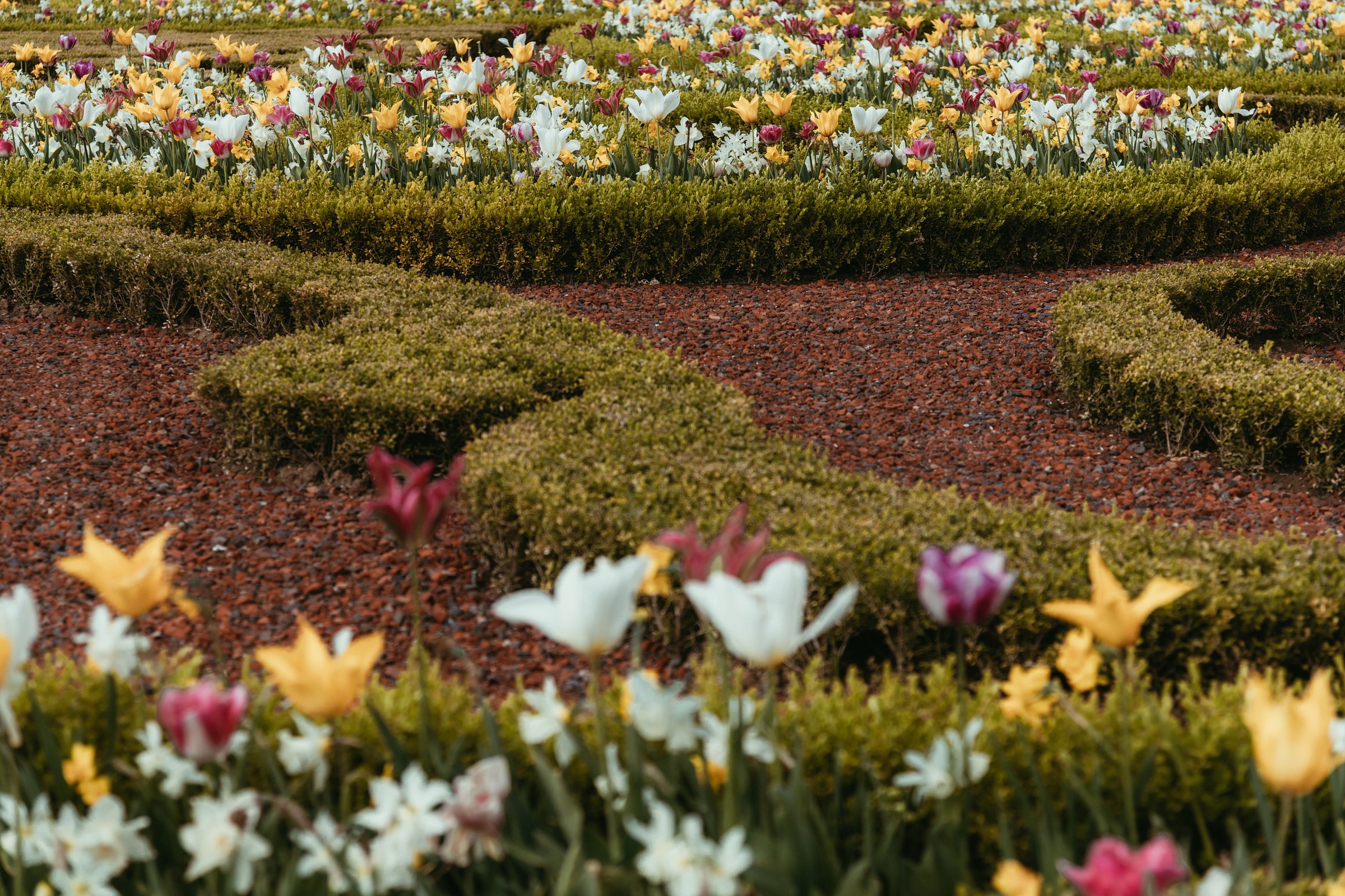 versailles private tour