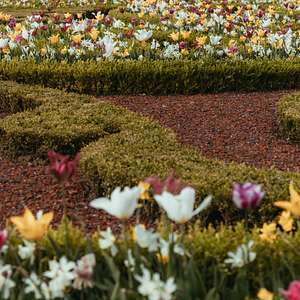 versailles private tour