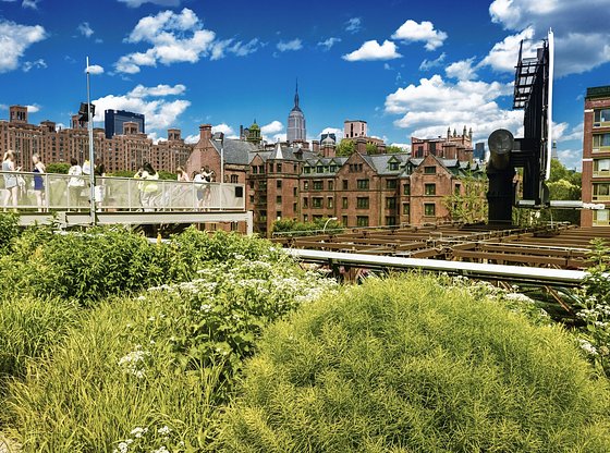 New York High Line Tour