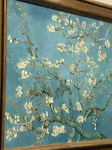 Photo Shared by Amanda with their review