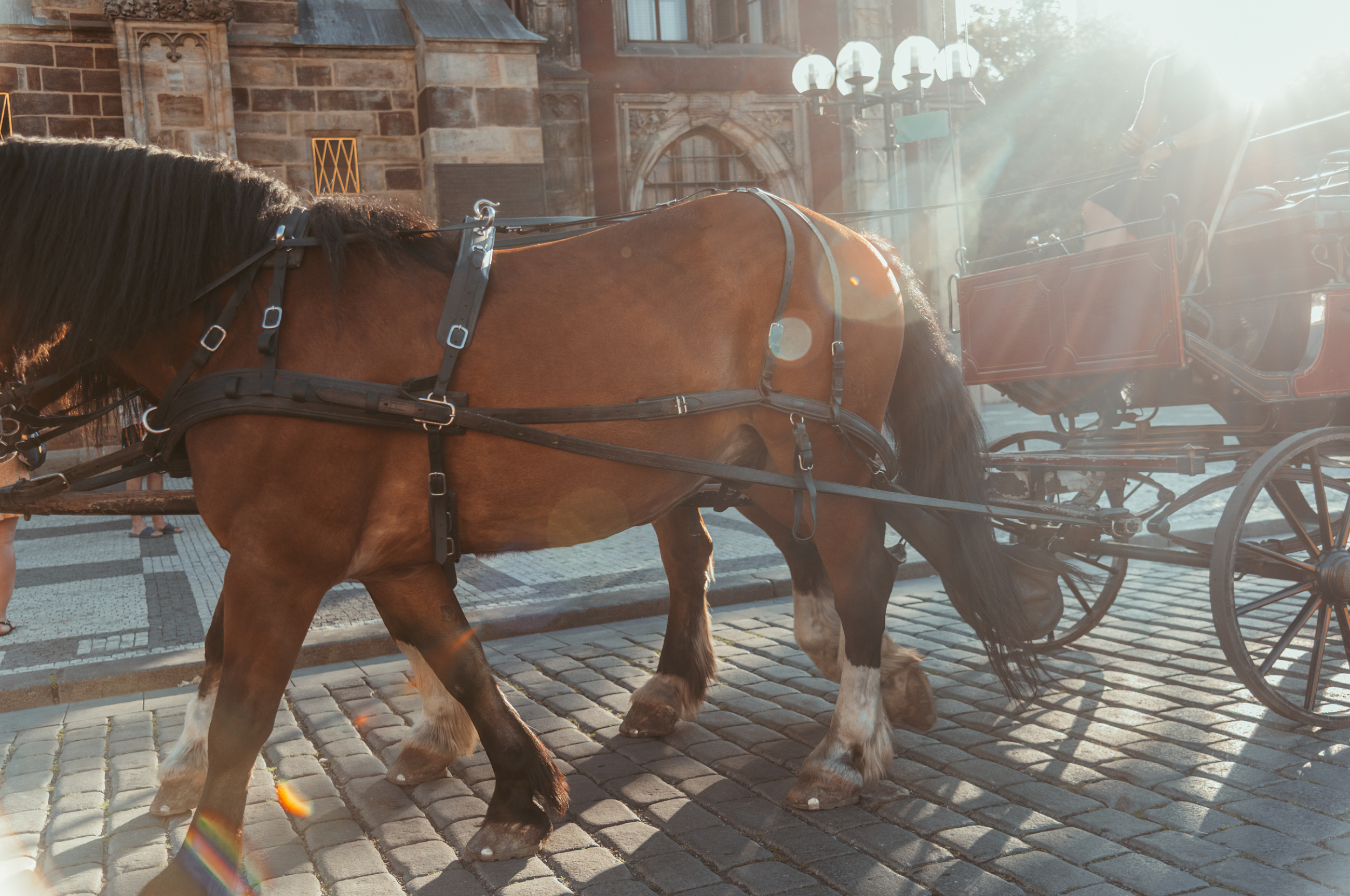 Prague Private Walking Tours