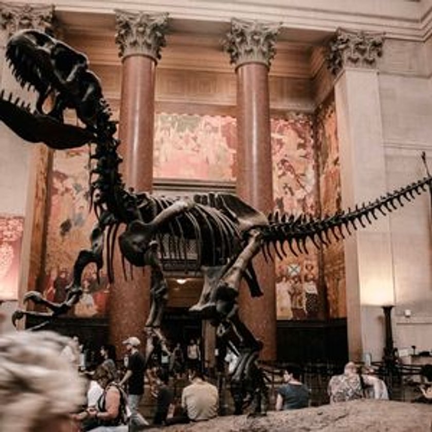 American Museum of Natural History Tour
