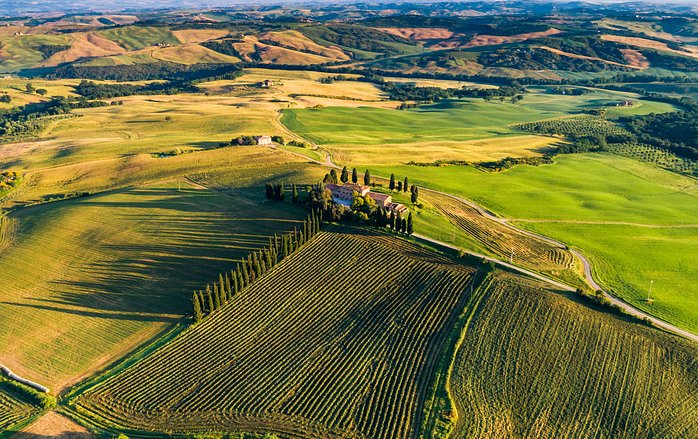 Full-Day Tuscany Day Trip from Siena with Wine Tasting