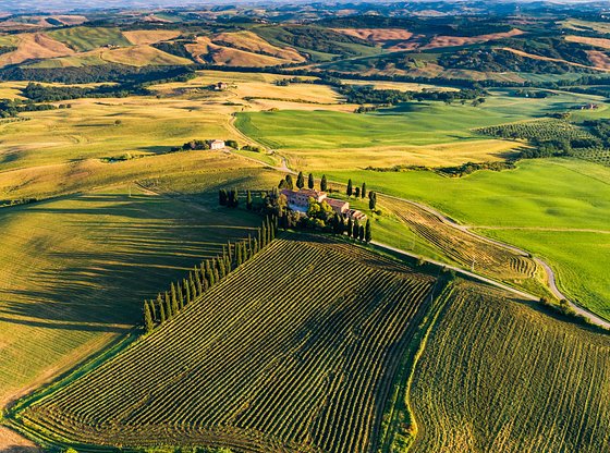 Full-Day Tuscany Day Trip from Siena with Wine Tasting