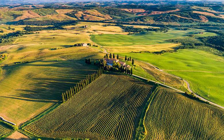 Full-Day Tuscany Day Trip from Siena with Wine Tasting