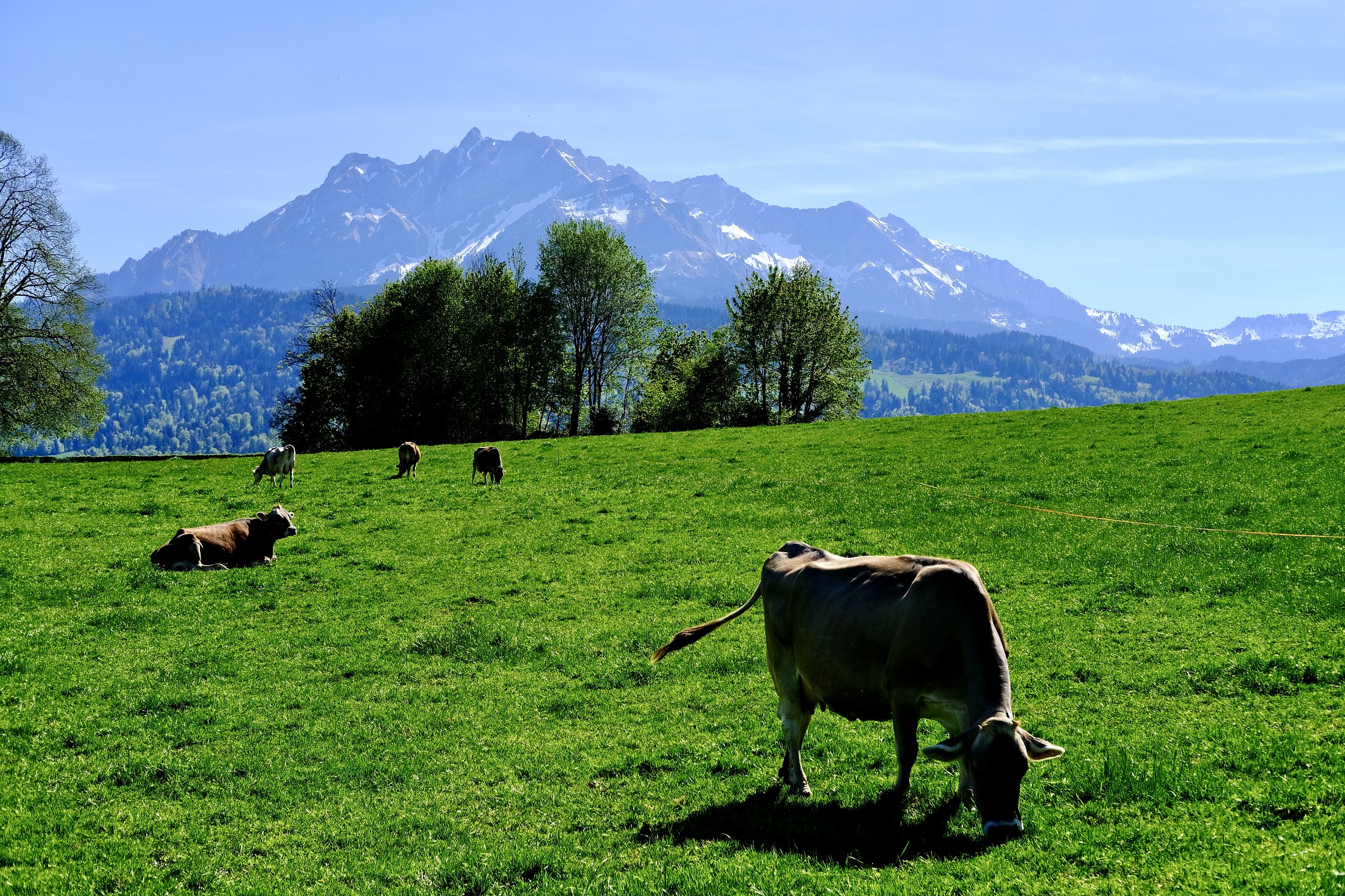 lucerne day trip