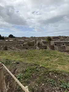 Photo Shared by Malissa with their review