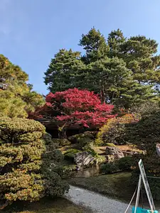 Photo Shared by Eleanor cecily with their review