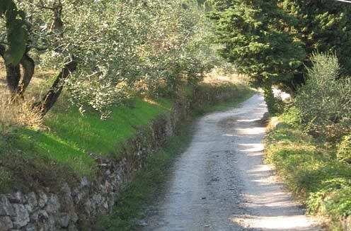 carmignano wine tour