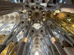 Photo Shared by Richard with their review