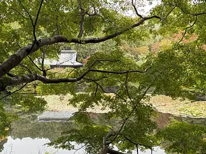 Photo Shared by Francis with their review