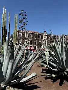 Photo Shared by Bridget with their review