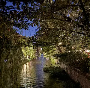 Photo Shared by Nancy with their review