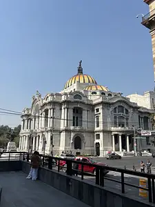 Photo Shared by Paige with their review