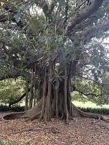 Photo Shared by Claudia with their review