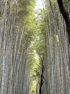 Photo Shared by Monica with their review