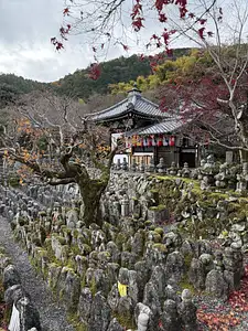 Photo Shared by John with their review