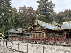 Photo Shared by Natalia with their review