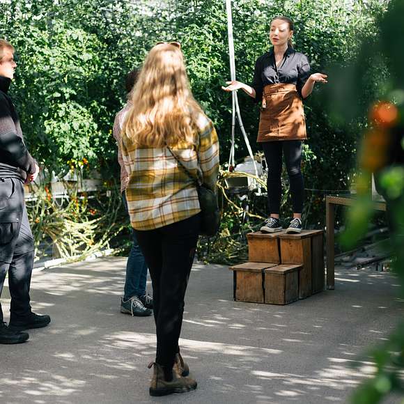 Golden Circle Iceland tour