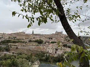 Photo Shared by Rhona with their review