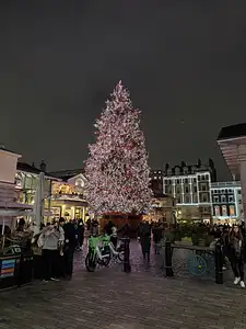 Photo Shared by Robert with their review