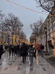 Photo Shared by Robert with their review