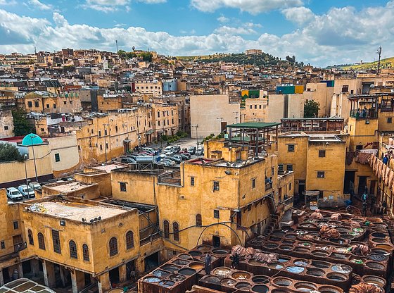 Sites and Insights: An Expert-Led Fes Welcome Tour