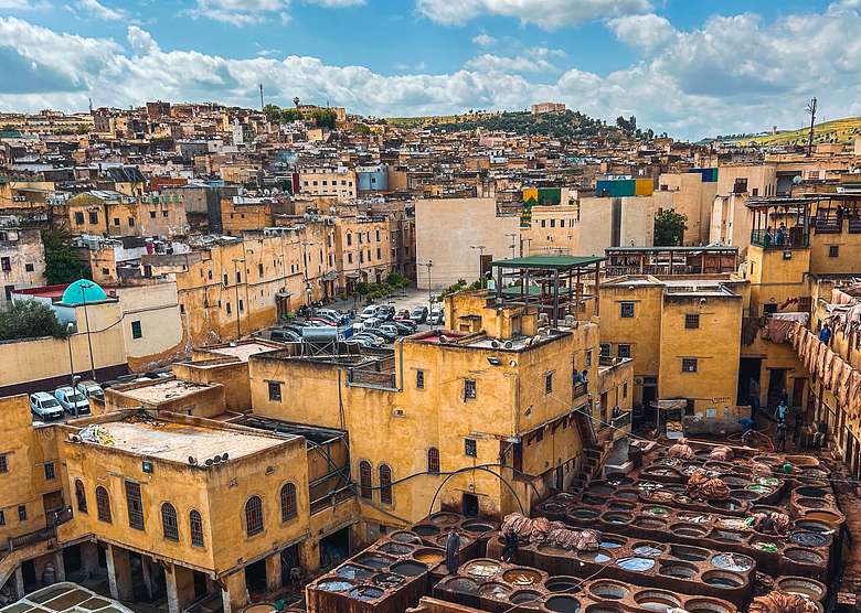 Sites and Insights: An Expert-Led Fes Welcome Tour