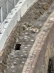 Photo Shared by Stephan with their review