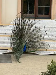 Photo Shared by Anne with their review