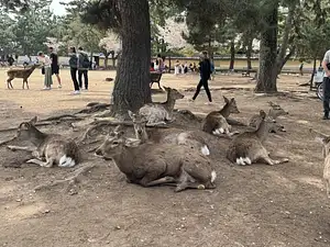 Photo Shared by Claudia with their review