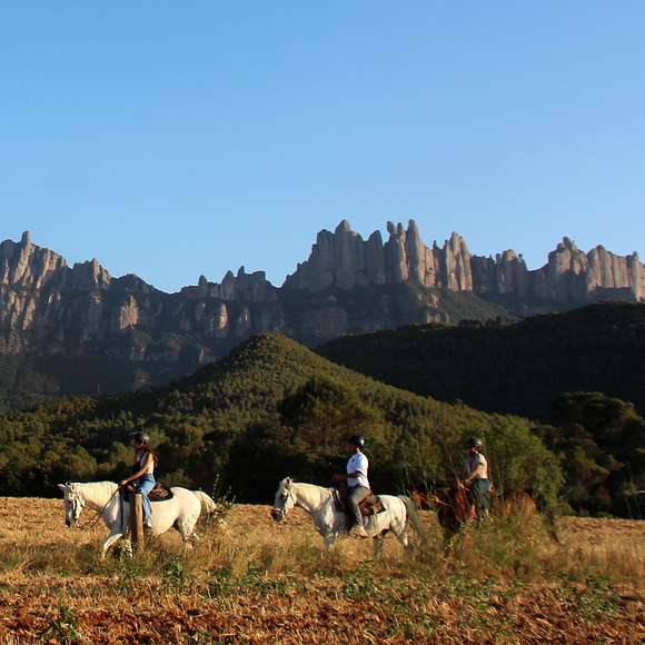 montserrat horseback riding