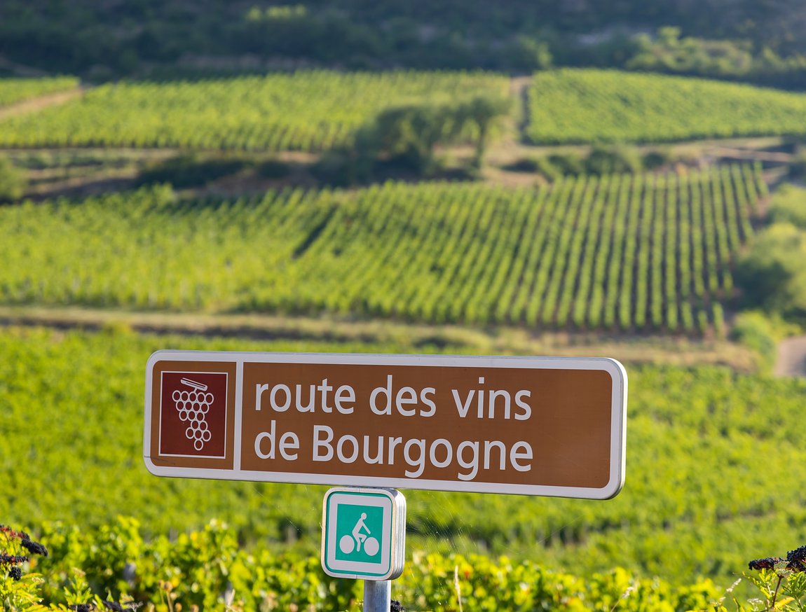 Private Burgundy Wine Tour