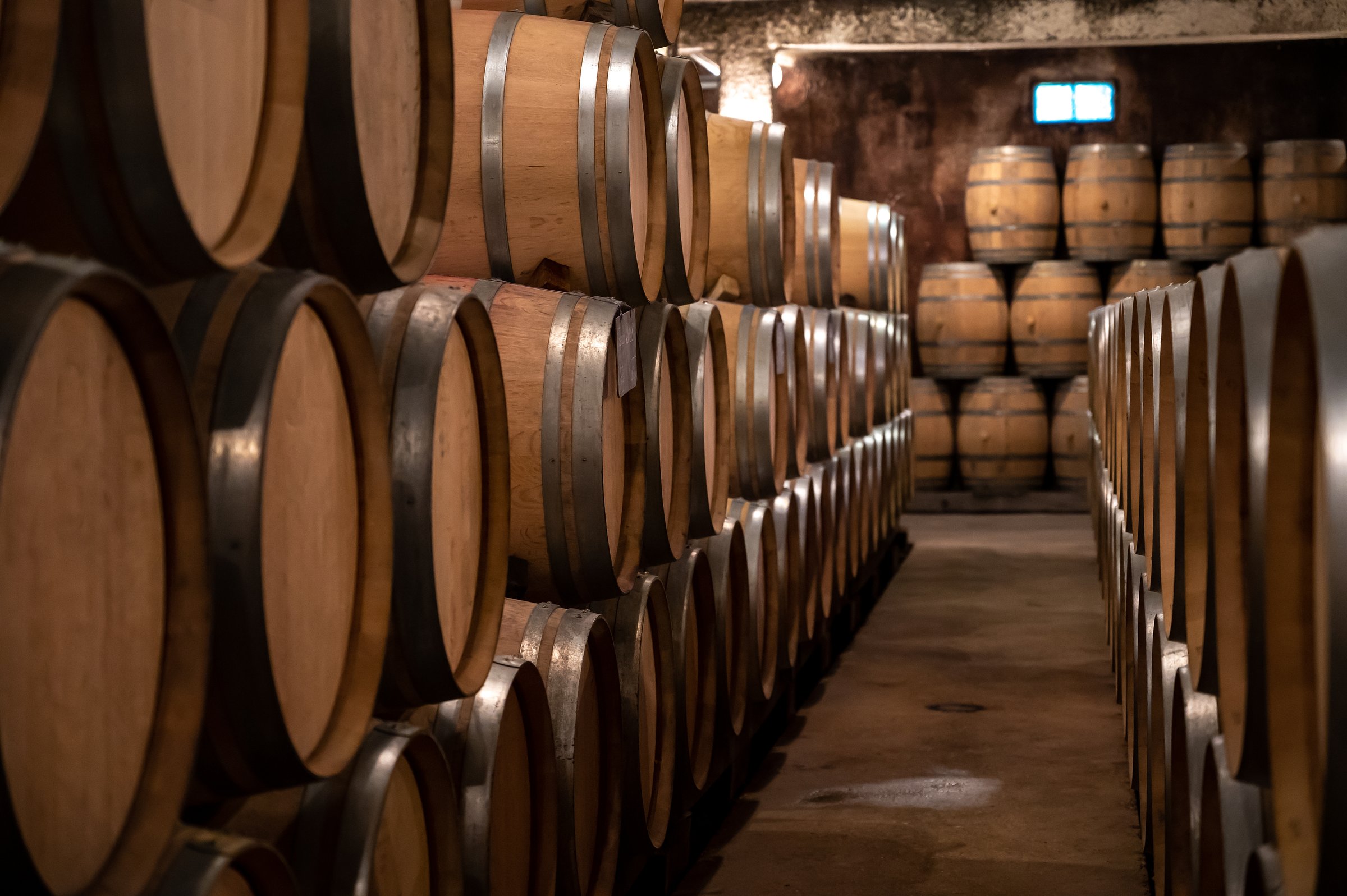 burgundy wine tour from dijon