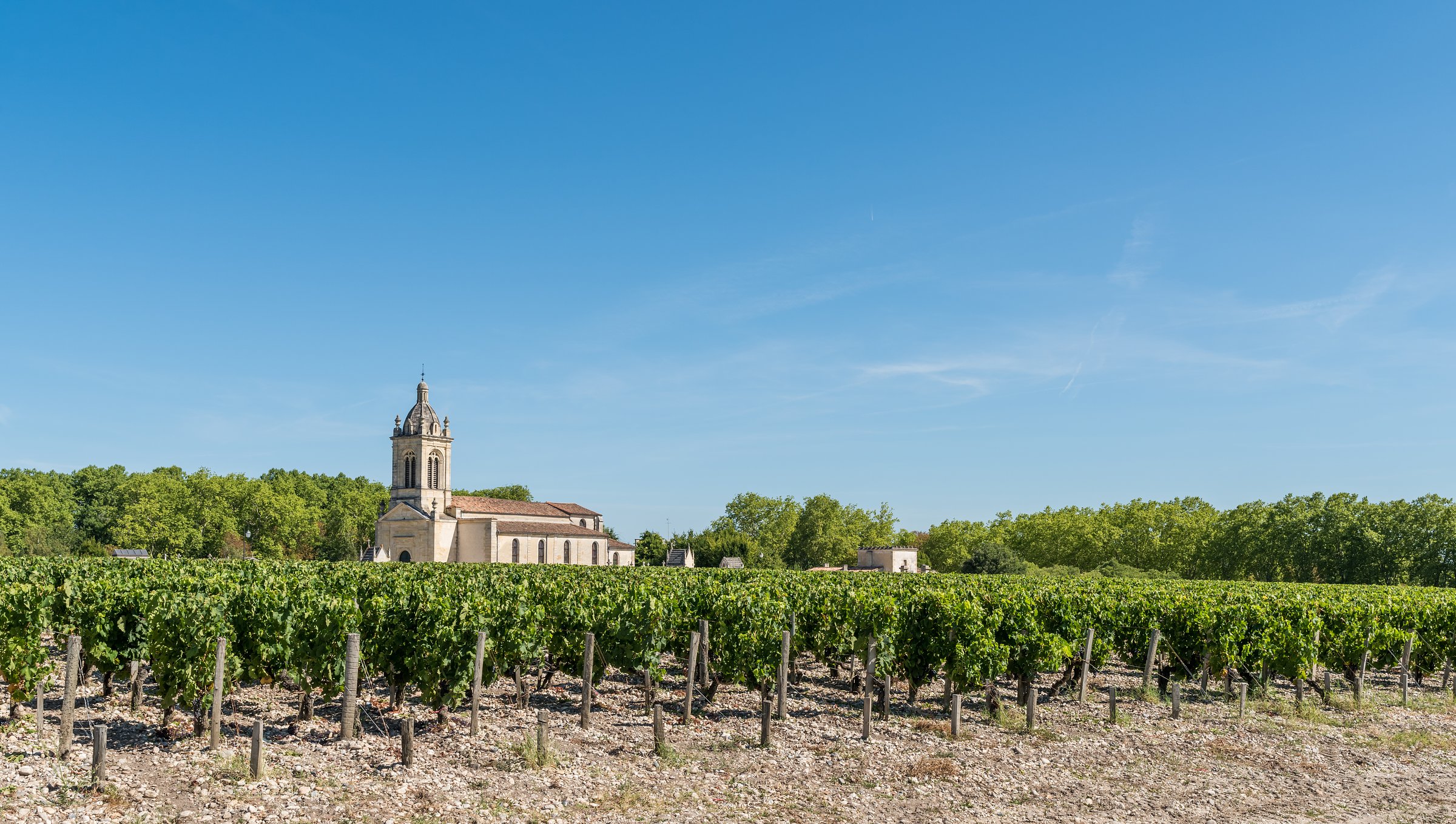 luxury wine tour bordeaux