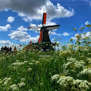 zaanse schans from amsterdam