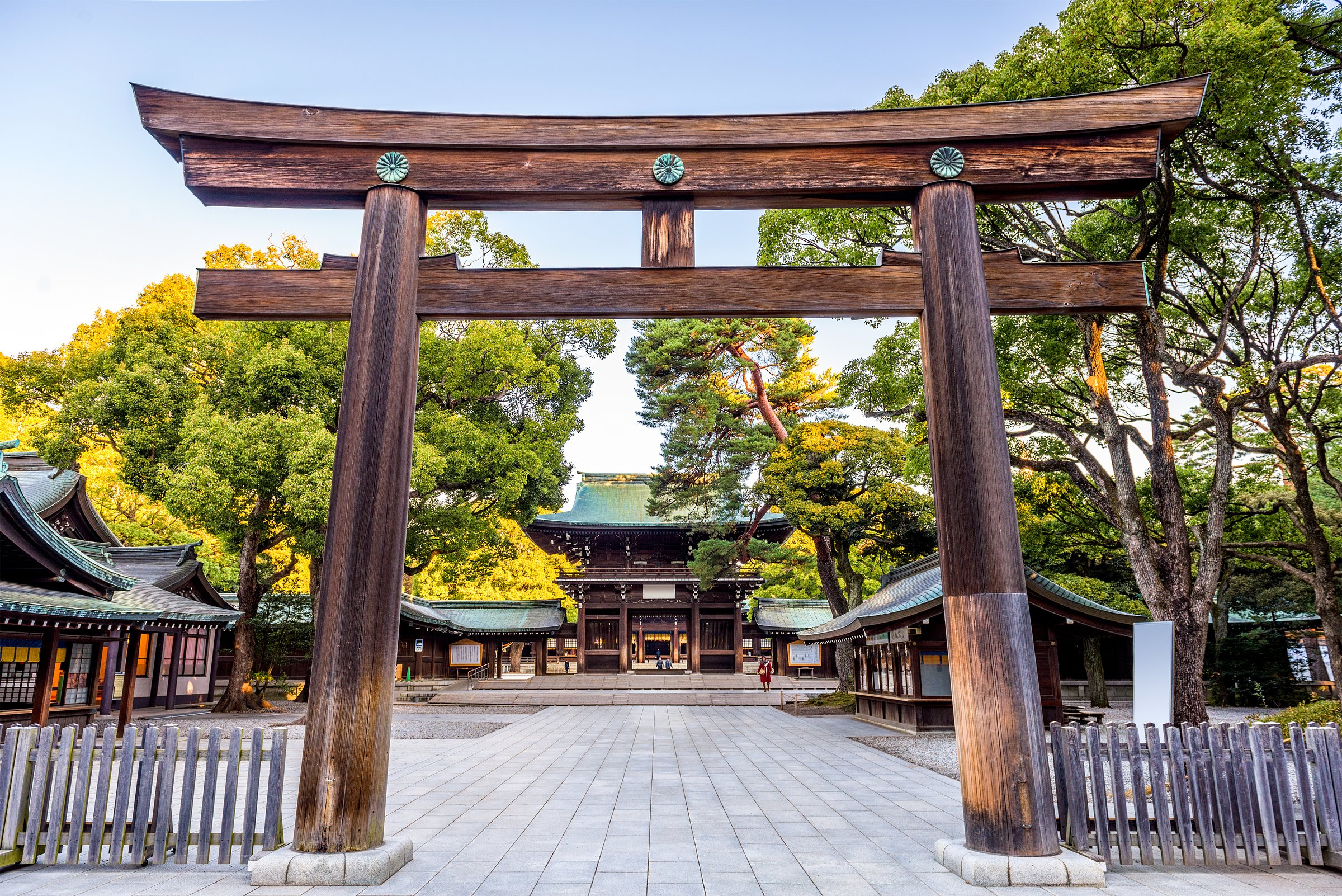 meiji jingu shrine tours