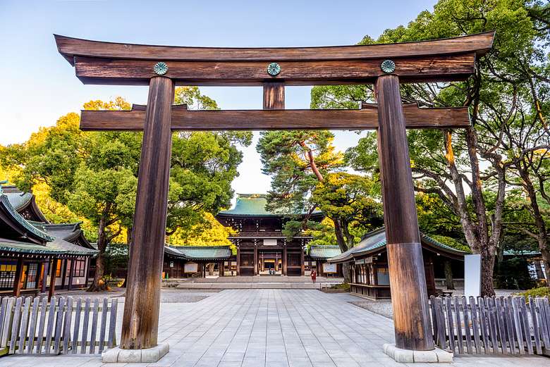 Tokyo Aesthetics and Architecture Tour, with Omotesando and Meiji Jingu