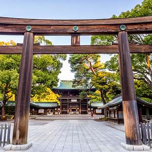 meiji jingu shrine tours