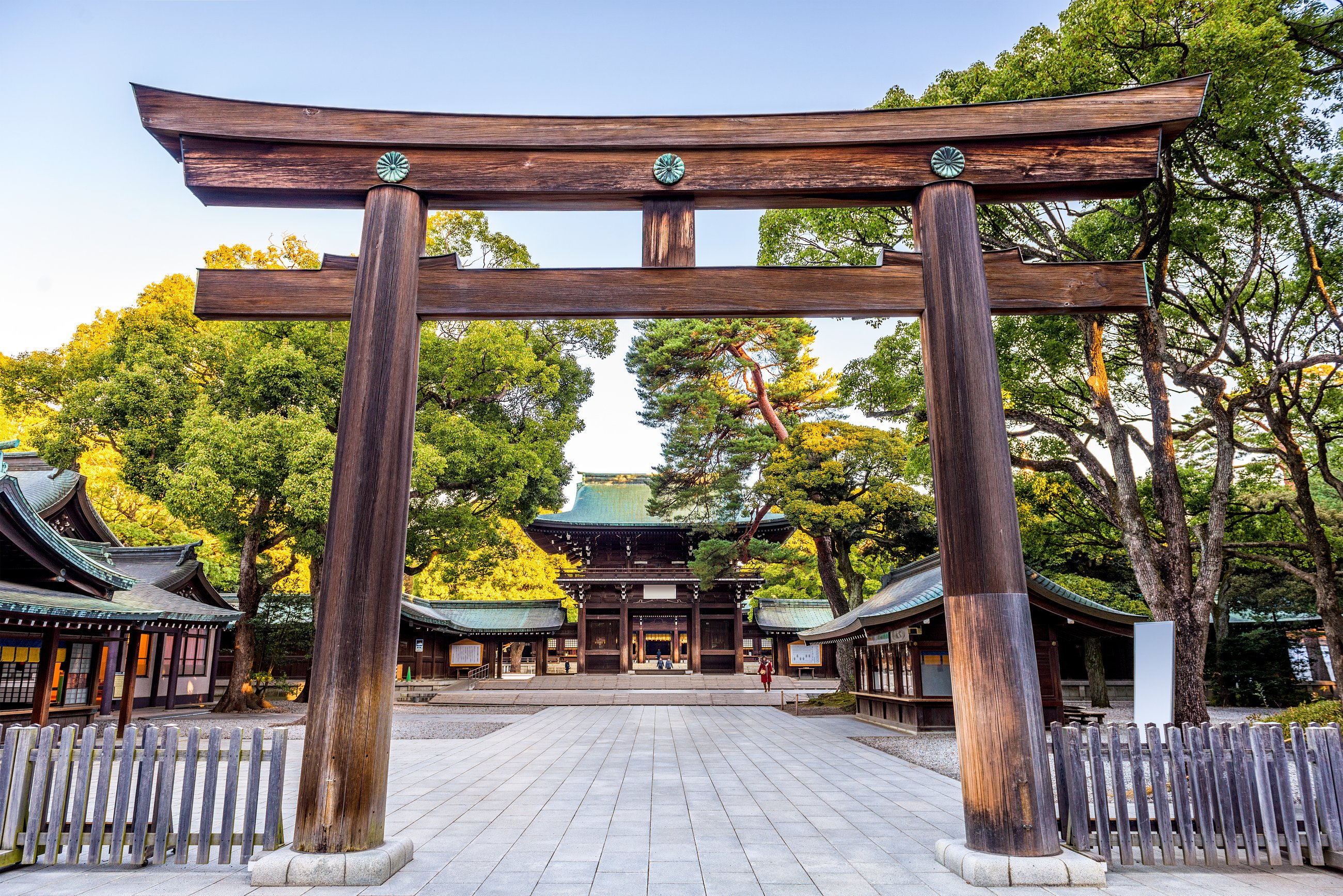 meiji jingu shrine tours