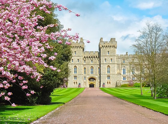 Half-Day Windsor Castle Day Trip from London