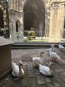 Photo Shared by Kelly with their review
