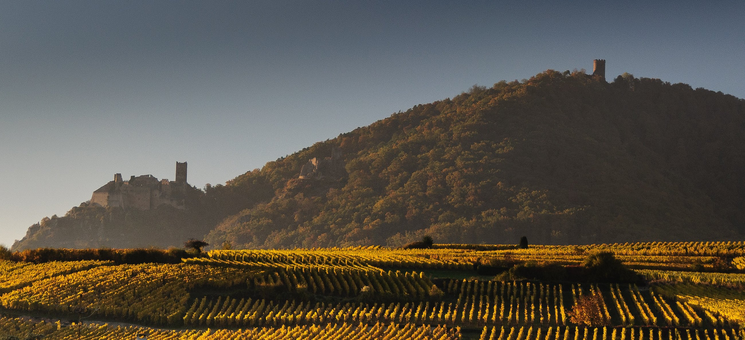 France guided private walking tours