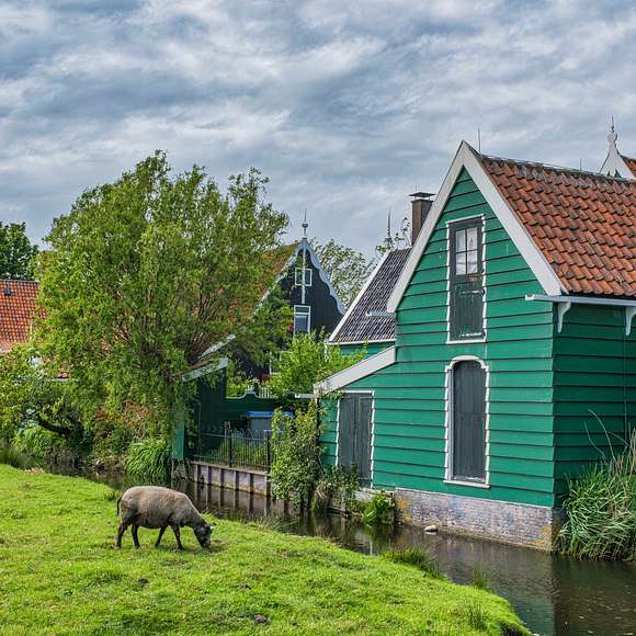 windmill tour amsterdam