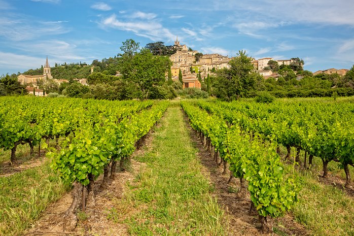 Full-Day Provence and Luberon Villages Day Trip from Marseille or Aix
