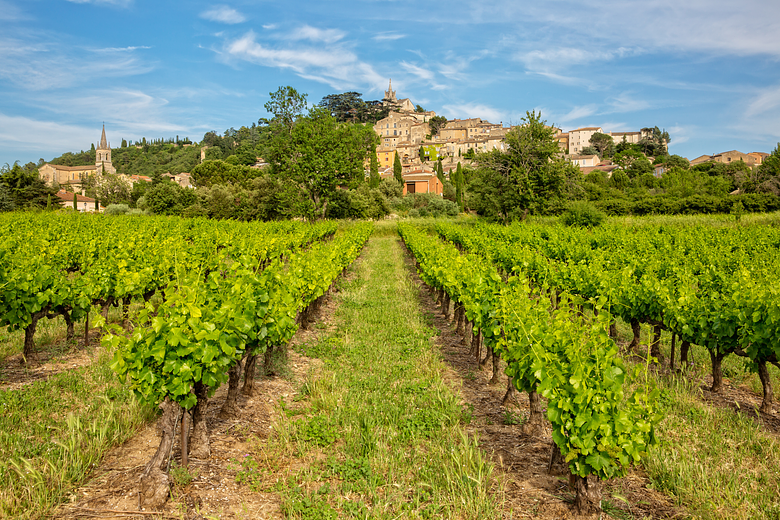 Full-Day Provence and Luberon Villages Day Trip from Marseille or Aix